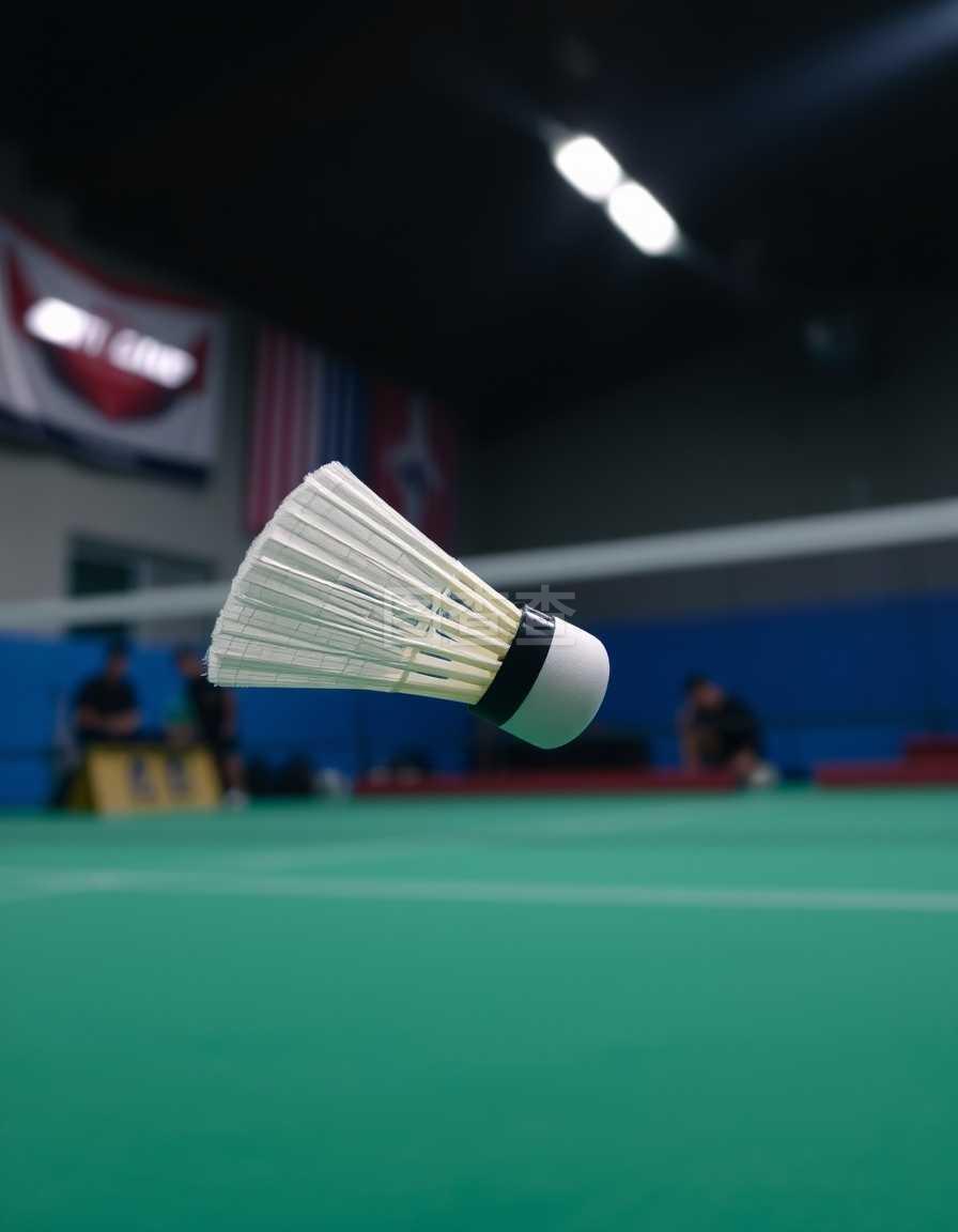 埃默森将面 埃默森将面