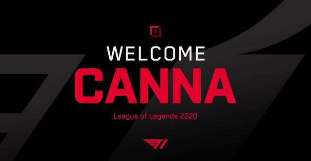 效力多家顶 效力多家顶