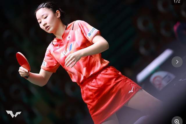 意的编排理 意的编排理