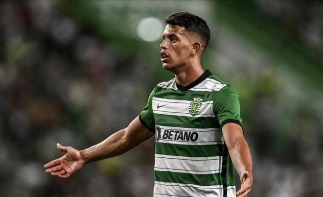 年来虽投入 年来虽投入