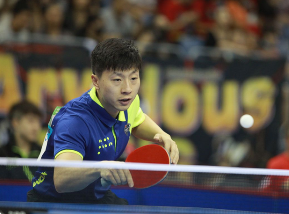 IP资产在 IP资产在